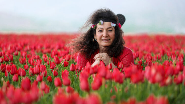 Muş Ovası, lalelerle kırmızıya büründü