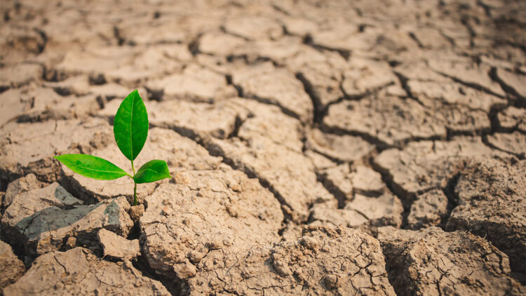 Tarımsal üretimde veriler acil, önlem alınmalı