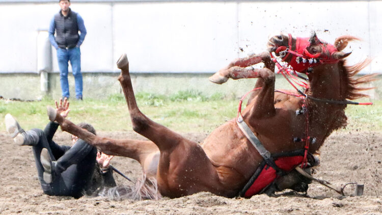 Atı düşen ciritçi ölümden döndü