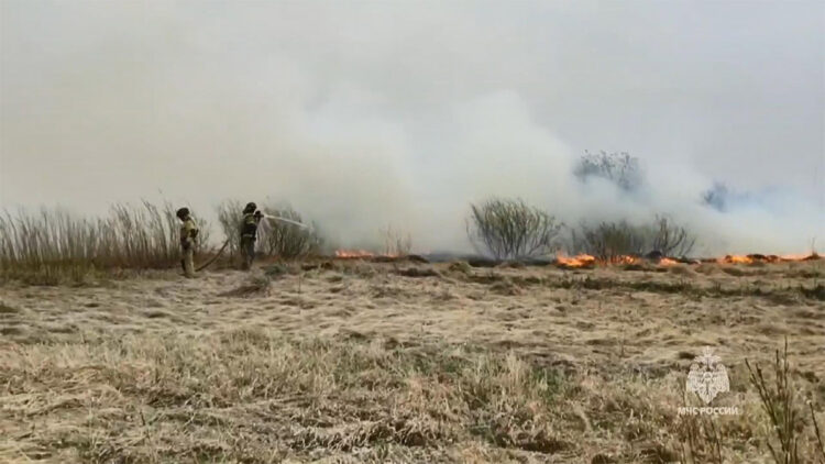 Rusya'da orman yangınlarının bir kısmı kontrol altına alındı