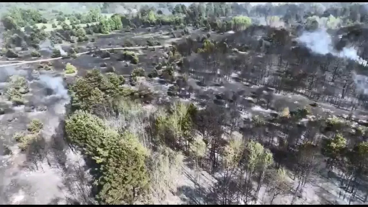 Ukrayna'nın kuzeyinde orman yangını