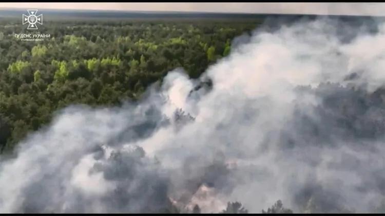 Ukrayna'nın kuzeyinde orman yangını