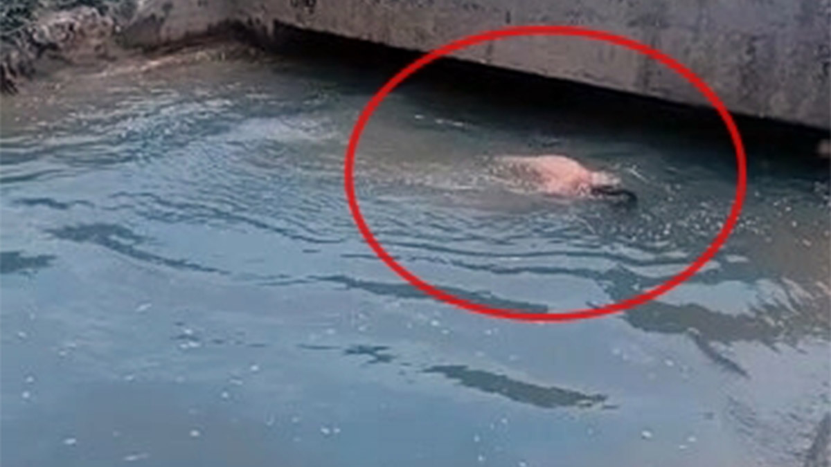 TikTok videosu çekmek isterken canından oldu