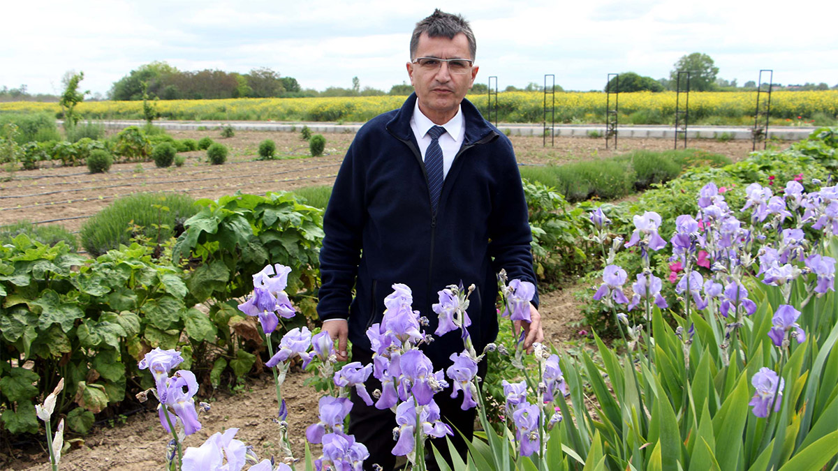 Trakya'da 60 çeşit tıbbi ve aromatik bitki üretimi