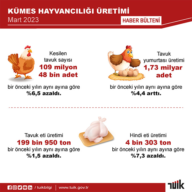 Türkiye İstatistik Kurumu (TÜİK) verilerine göre martta tavuk eti üretimi azaldı, yıllık tavuk yumurtası üretimi arttı. Geçen yılın mart ayına göre içme sütü, inek peyniri ve yoğurt üretimi artarken; ayran ve tereyağı üretimi azaldı.