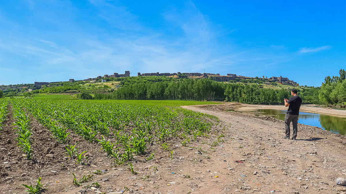 Hevsel Bahçeleri'nin biyoçeşitliliği kayıt altına alınıyor