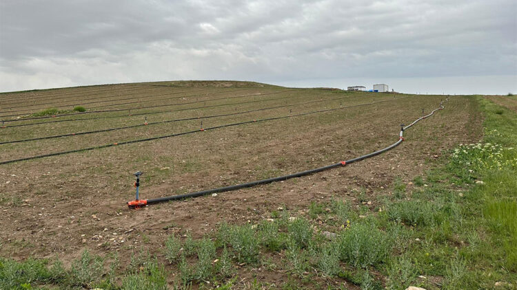 Tarlada yıldırım çarpması sonucu yaşamını yitirdi