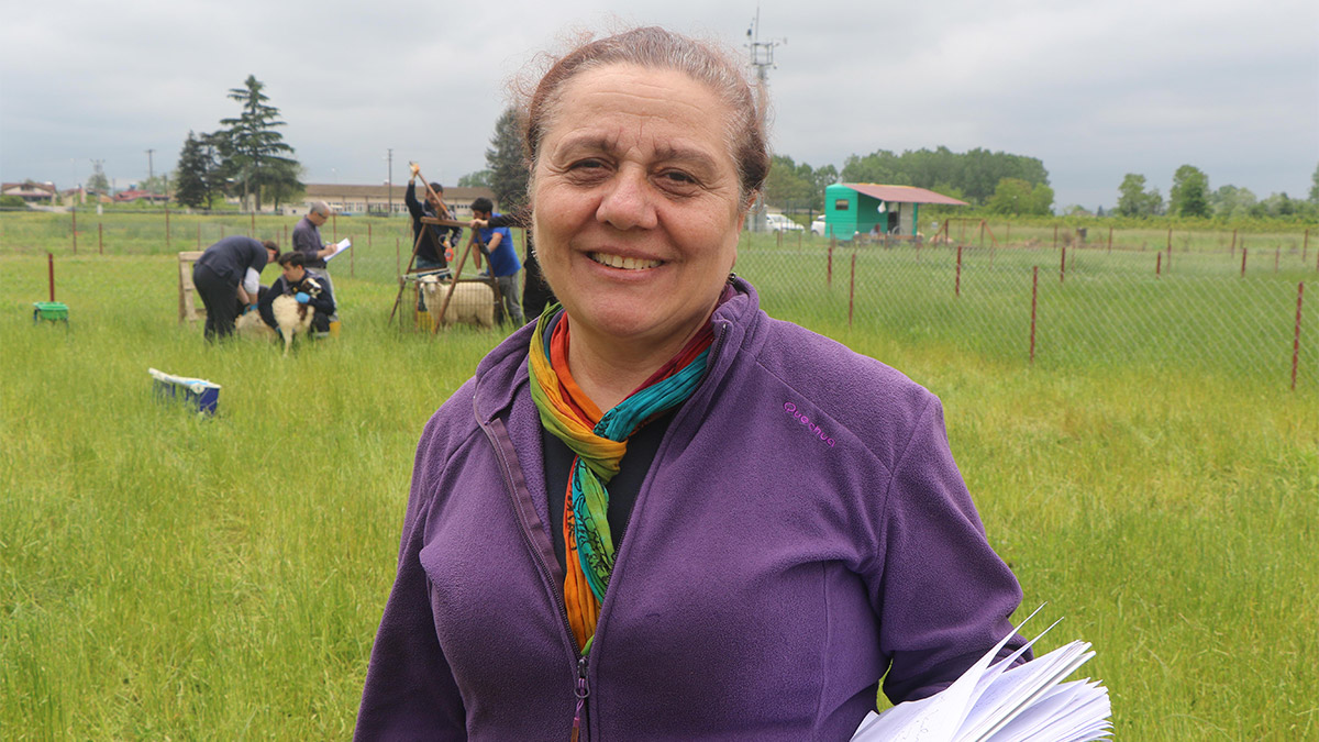 Yapay meralarda hedef; Kaliteli ve ucuz et üretimi