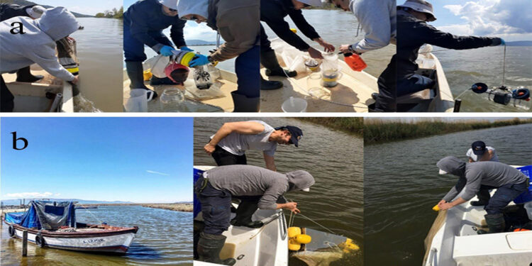 5 havzada 290 milyon adet mikroplastik tespiti