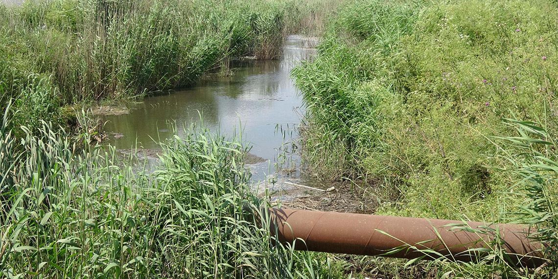 Tarım arazilerinin sulandığı kanal siyah akıyor