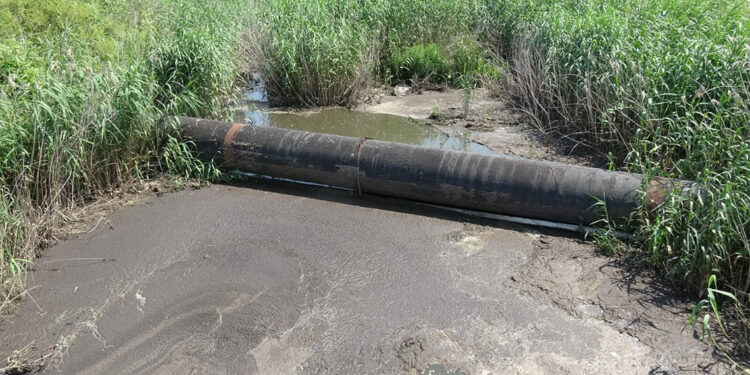 Tarım arazilerinin sulandığı kanal siyah akıyor