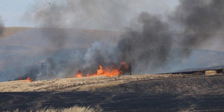 9 kişinin öldüğü arazi kavgasında tutuklu sayısı 6’ya çıktı
