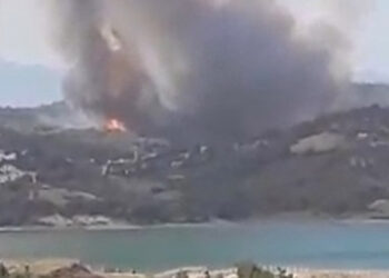 Adana Çukurova'da orman yangını