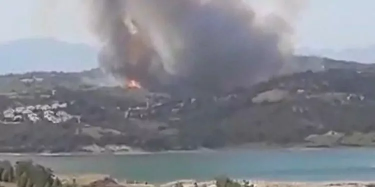 Adana çukurova'da orman yangını