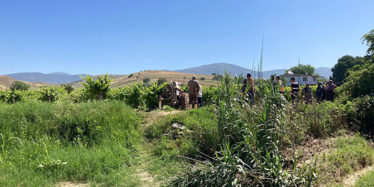 Ağaçtaki kuşu vurmak isterken komşusunu öldürdü