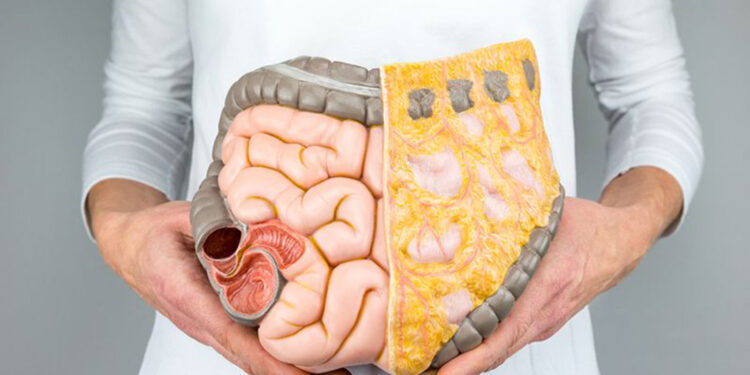 Akdeniz tipi beslenme kolon kanseri riskini azaltıyor