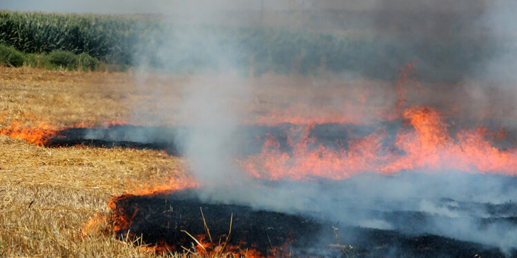 Anız yakmak daha çok gübre masrafına neden oluyor