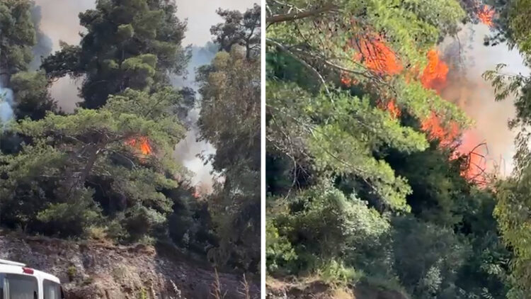 Antalya Aksu'da orman yangını