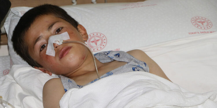 Ayı saldırısında yaralanan Enes, hayati tehlikeyi atlattı