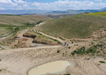 Bahçesaray'da yayla kavgası: 4 yaralı