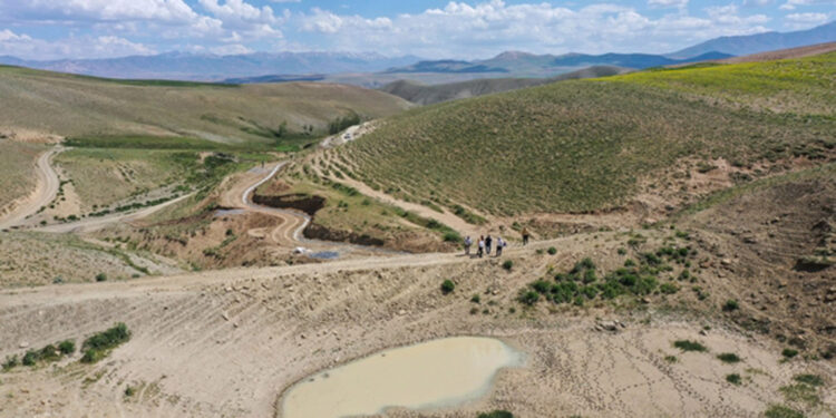 Bahçesaray'da yayla kavgası: 4 yaralı