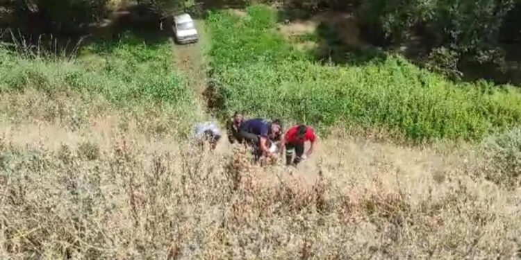 Bahçeye uçan otomobil ağaca çarptı