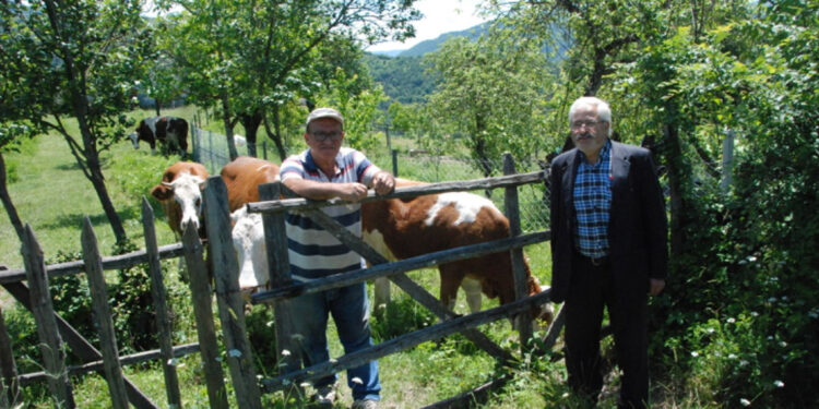 Bartın'da şap hastalığı; hayvan pazarları kapatıldı