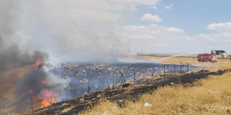 Batman'da orman yangını; 750 dönüm yandı