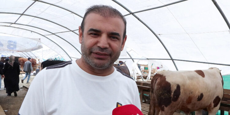 Bayramın ikinci gününde indirimli kurbanlık umudu