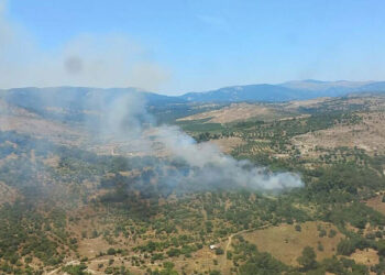 Bergama'da orman yangını