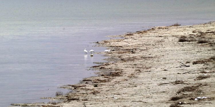 Burdur Gölü'nün yüzde 45'ini kaybettik