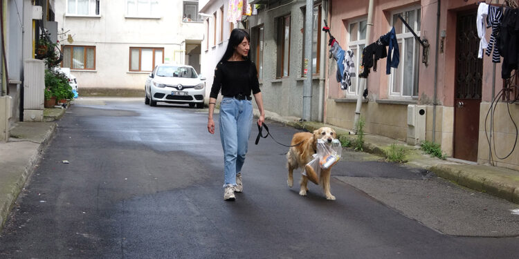 Can dostu 'Boran' sahibinin yol arkadaşı