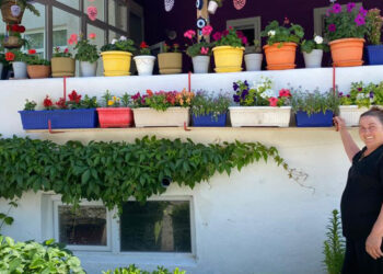 'Çiçekçi abla', evini botanik bahçesine çevirdi