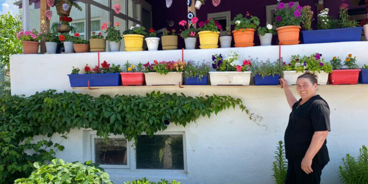 'Çiçekçi abla', evini botanik bahçesine çevirdi