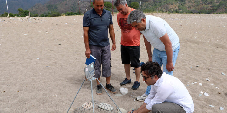 Çıralı Plajı'nda akşamdan sabaha giriş yasağı