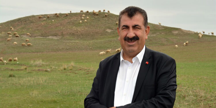 Çayır meraların azalması gıda için en büyük tehdit