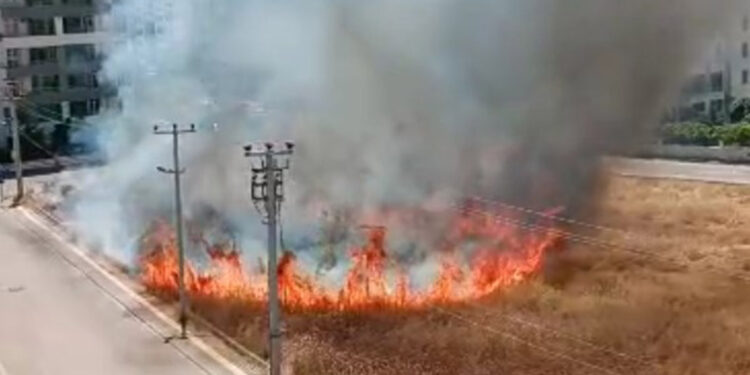Diyarbakır'da sitelerin arasındaki otlukta yangın