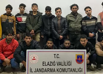 Elazığ'da 15 kaçak göçmen yakalandı