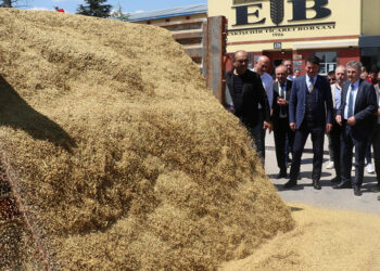 Eskişehir'de etkili olan yağışlar çiftçinin yüzünü güldürdü