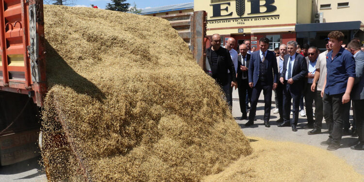 Eskişehir'de etkili olan yağışlar çiftçinin yüzünü güldürdü