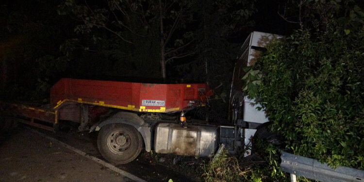 Freni tutmayan TIR, ağaca çarptı