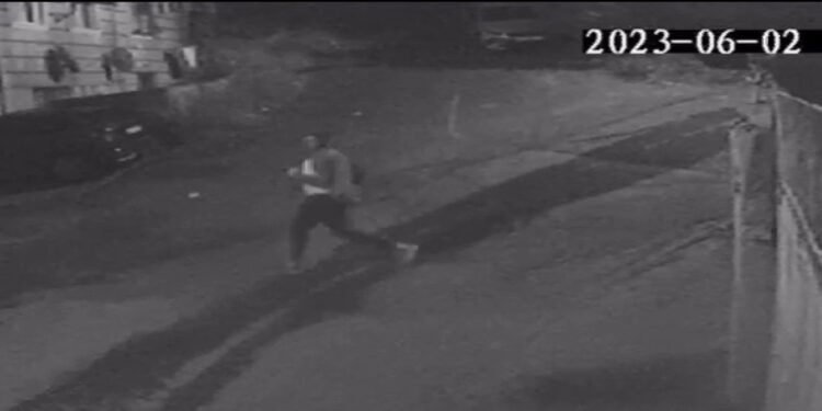 Gazisomanpaşa'da otomobillere giren hırsız yakalandı