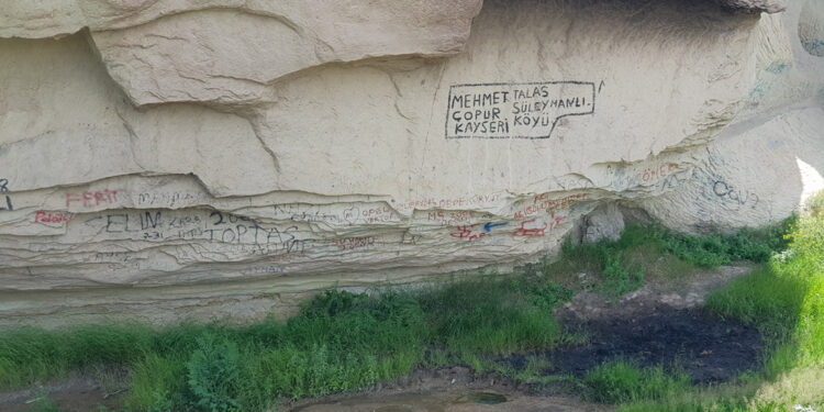 Gomeda Vadisi'ne sprey boyayla yazı yazdılar