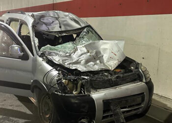 Hafif ticari araç ineğe çarptı: 3 yaralı