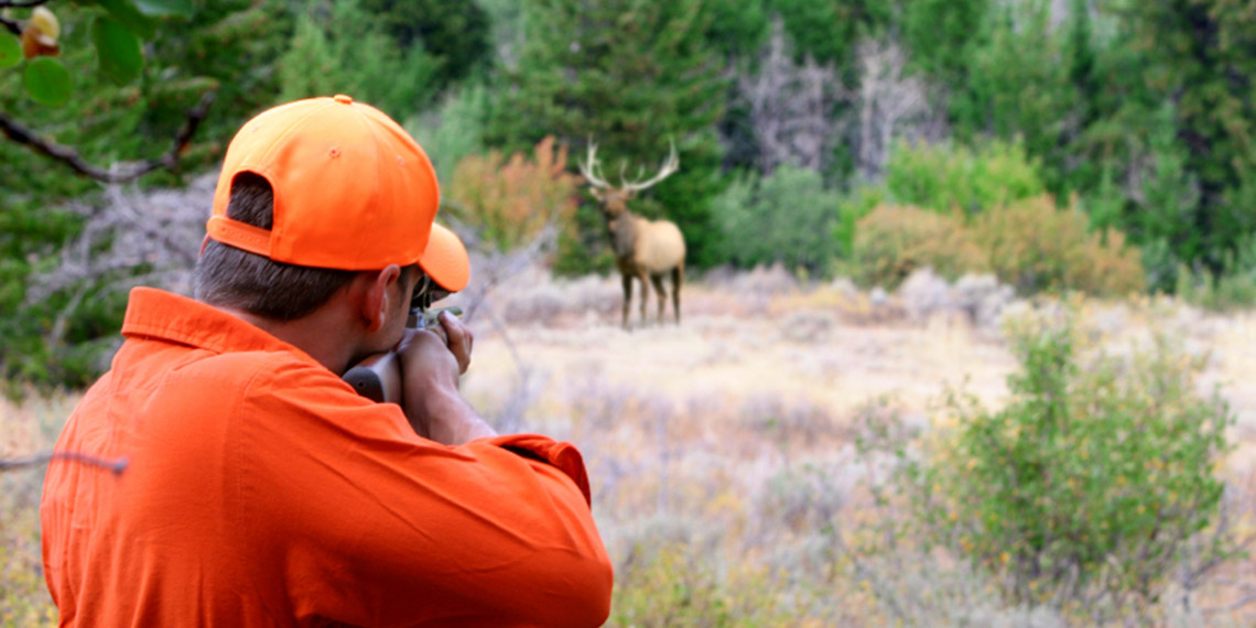 Türkiye’de hayvanlar artık açlıktan ve susuzluktan değil, kulübesinde canlı canlı yakılarak, uzun namlulu silahlarla vurularak öldürülüyor. Cezaların ise caydırıcı olmaması hayvanlara yönelik eziyetlerin artmasında en kilit faktörlerden biri.