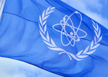 IAEA Genel Direktörü Ukrayna'yı ziyaret edecek