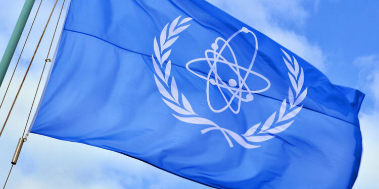 IAEA Genel Direktörü Ukrayna'yı ziyaret edecek