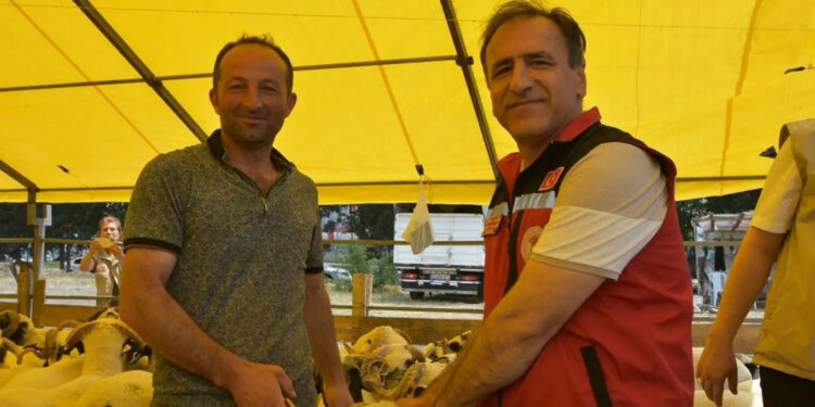 İstanbul'daki kurban pazarlarında denetim