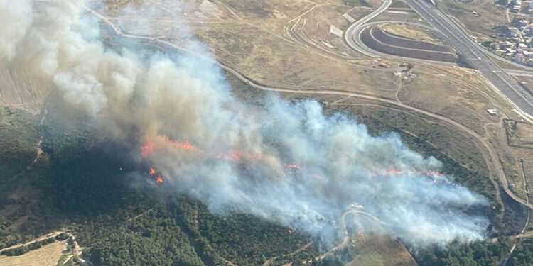 İzmir Menemen'de orman yangını