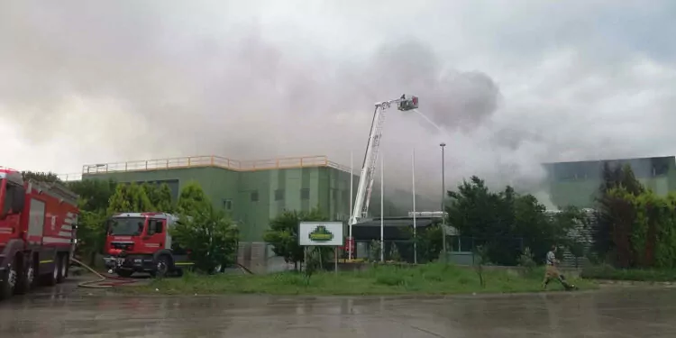 İzmir'de yıldırım düşen turşu fabrikasında yangın
